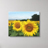 Canvas Print met zonnebloem (Voorkant)