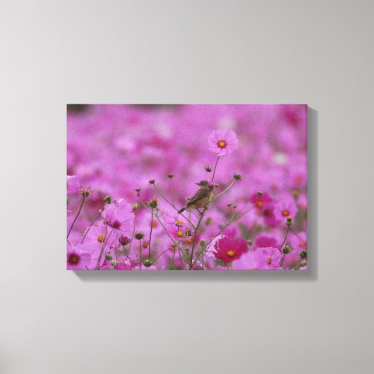 Canvas Print - Morning Glory (Voorkant)