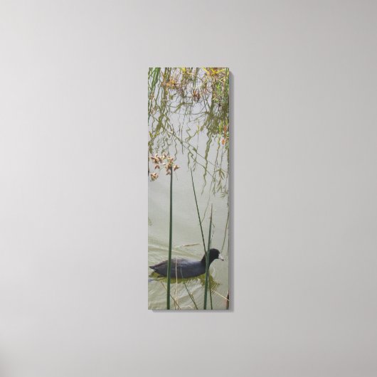 Canvas Print - Mud Hen in Reeds (Voorkant)