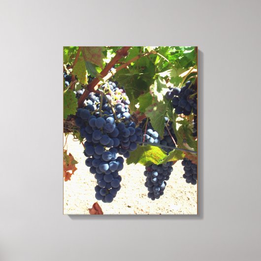 Canvas Print - Paarse druiven op wijn (Voorkant)