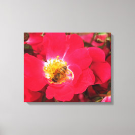 Canvas Print - Pollen verzamelen
