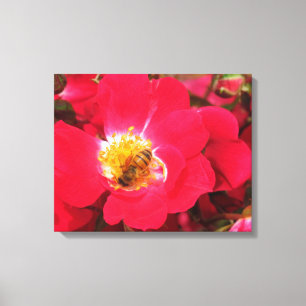 Canvas Print - Pollen verzamelen