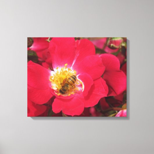 Canvas Print - Pollen verzamelen (Voorkant)