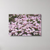 Canvas Print - Primrose Blossom (Voorkant)