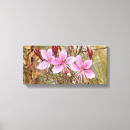 Canvas print - Roze guara