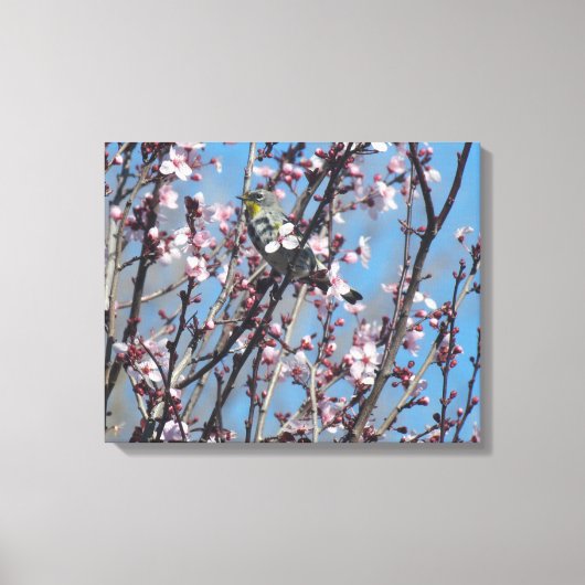 Canvas Print - Springtime Sparrow (Voorkant)