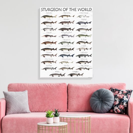 CANVAS PRINT - STURGEON VAN DE WERELD (Insitu (Woonkamer))