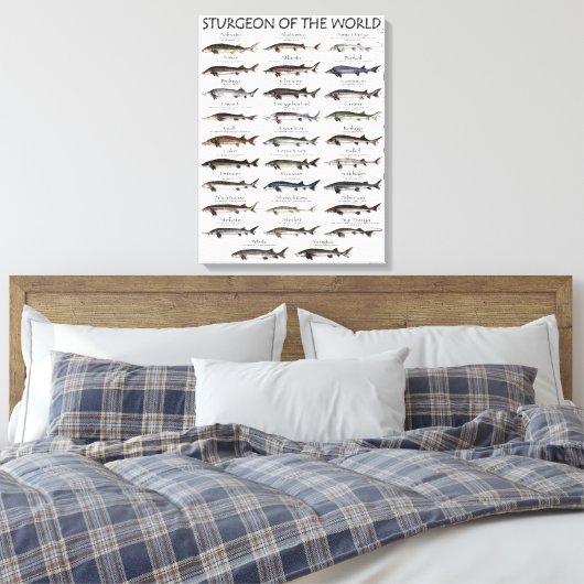 CANVAS PRINT - STURGEON VAN DE WERELD (Insitu (Slaapkamer))