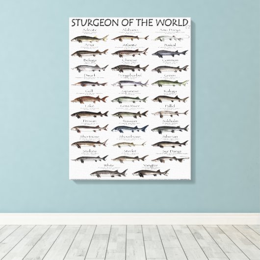 CANVAS PRINT - STURGEON VAN DE WERELD (Insitu (Houten vloer))