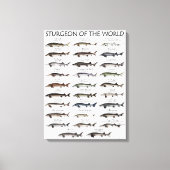 CANVAS PRINT - STURGEON VAN DE WERELD (Voorkant)