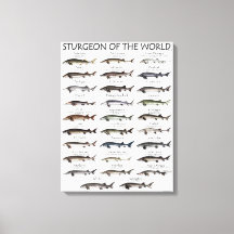 CANVAS PRINT - STURGEON VAN DE WERELD