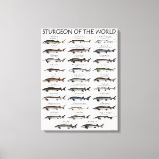 CANVAS PRINT - STURGEON VAN DE WERELD