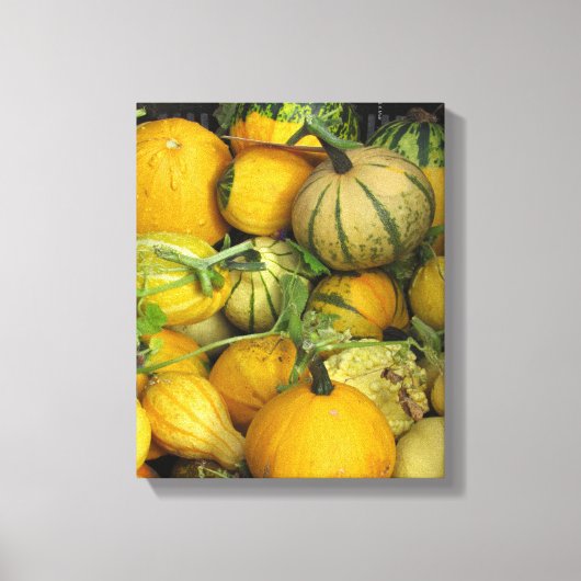 Canvas Print - Summer squash 1 (Voorkant)