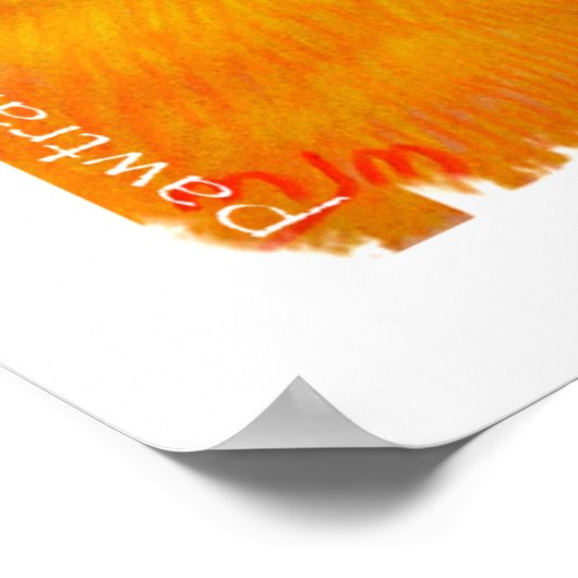 Canvas Print - Sun Conure (Hoek)