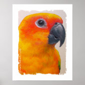 Canvas Print - Sun Conure (Voorkant)