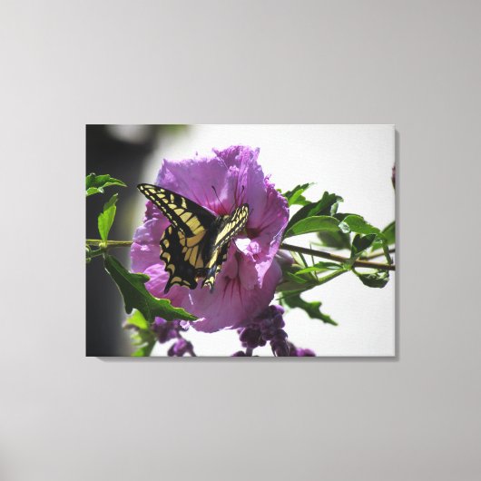 Canvas Print - Swallowtail Butterfly (Voorkant)