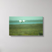 Canvas Print - Tern in Flight (v.2) (Voorkant)