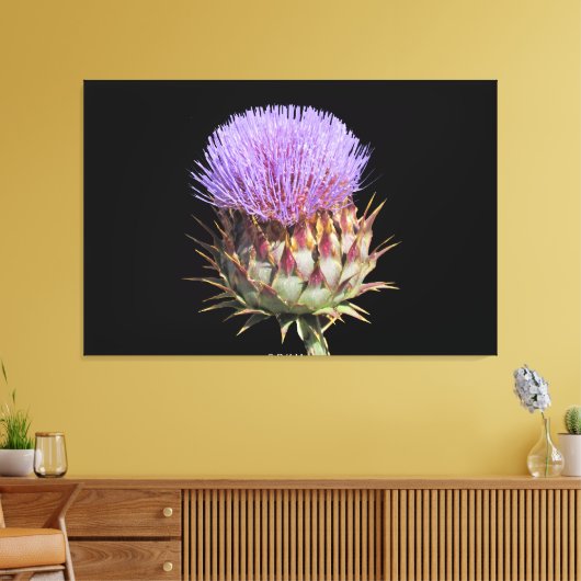 Canvas Print - Thistle (Insitu (Woonkamer))