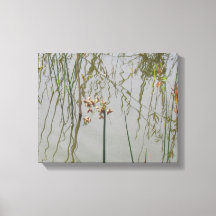 Canvas Print - waterreflecties