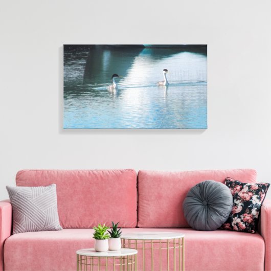 Canvas Print - Westerne Grebe in Harbour (Insitu (Woonkamer))