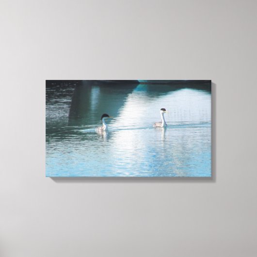 Canvas Print - Westerne Grebe in Harbour (Voorkant)