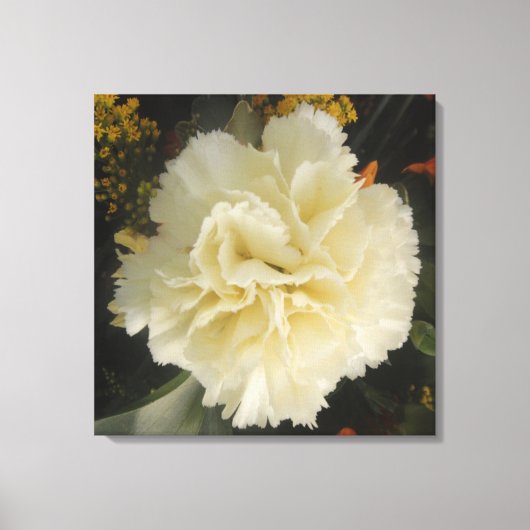 Canvas Print White Carnance Beauty (Voorkant)