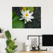 Canvas Print White Water Lily (Thuiskantoor)