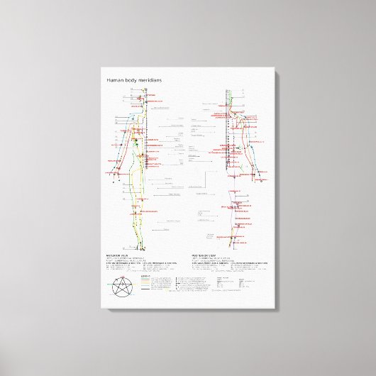Canvas Schematic Chinese Meridians Musculatuur Afdruk (Voorkant)