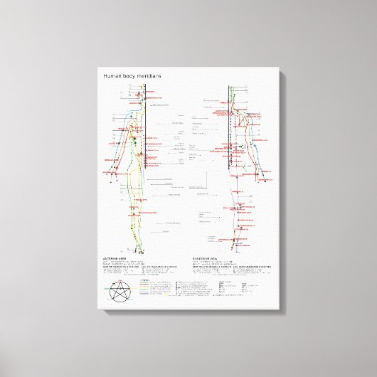 Canvas Schematische Chinese Meridianen Spierstelse Afdruk (Voorkant)