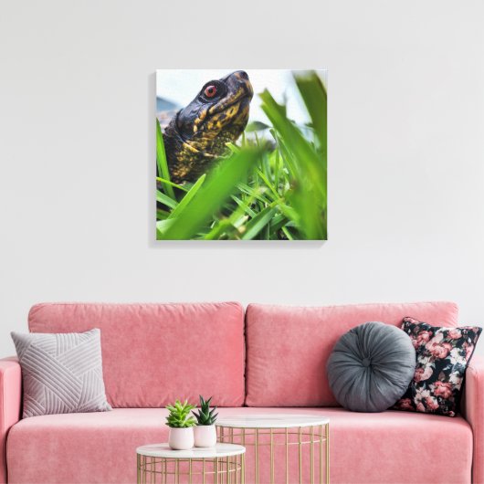 Canvas Schildpad Close Up Afdruk (Insitu (Woonkamer))