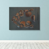 Canvas (SeaShell House) RFPMDesignes ©️ 2012 (Insitu (Houten vloer))