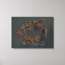 Canvas (SeaShell House) RFPMDesignes ©️ 2012