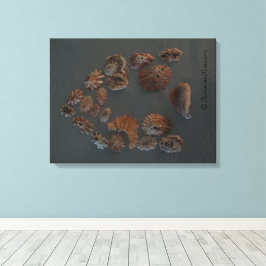 Canvas (SeaShell House) RFPMDesignes ©️ 2012 Afdruk (Insitu (Houten vloer))