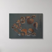 Canvas (SeaShell House) RFPMDesignes ©️ 2012 Afdruk (Voorkant)