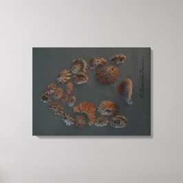 Canvas (SeaShell House) RFPMDesignes ©️ 2012 Afdruk