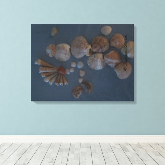 Canvas (SeaShell Lady) RFPMDesignes ©️ 2012 (Insitu (Houten vloer))