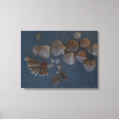 Canvas (SeaShell Lady) RFPMDesignes ©️ 2012 (Voorkant)