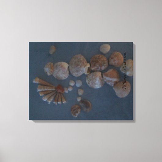 Canvas (SeaShell Lady) RFPMDesignes ©️ 2012 (Voorkant)