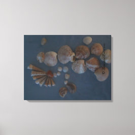 Canvas (SeaShell Lady) RFPMDesignes ©️ 2012 Afdruk