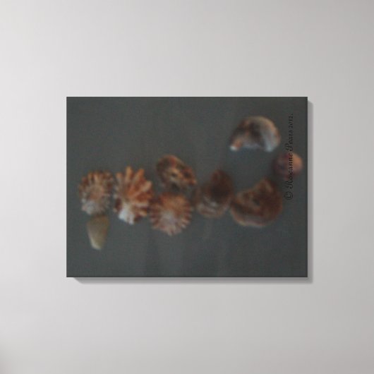 Canvas (SeaShell SeaHorse) RFPMDesigns ©️2012 (Voorkant)