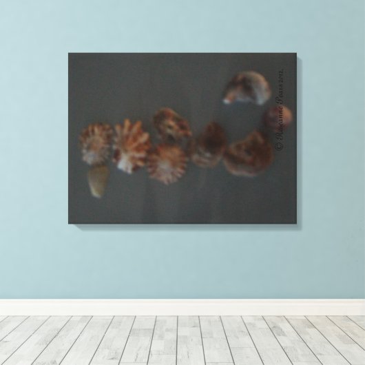 Canvas (SeaShell SeaHorse) RFPMDesigns ©️2012 Afdruk (Insitu (Houten vloer))