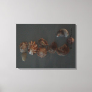 Canvas (SeaShell SeaHorse) RFPMDesigns ©️2012 Afdruk