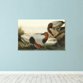 Canvas steunde Duck van Audubon's Birds of America Afdruk (Insitu (Houten vloer))