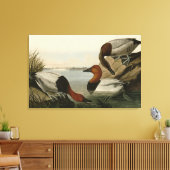 Canvas steunde Duck van Audubon's Birds of America Afdruk (Insitu (Woonkamer))