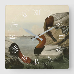 Canvas steunde Duck van Audubon's Birds of America Vierkante Klok
