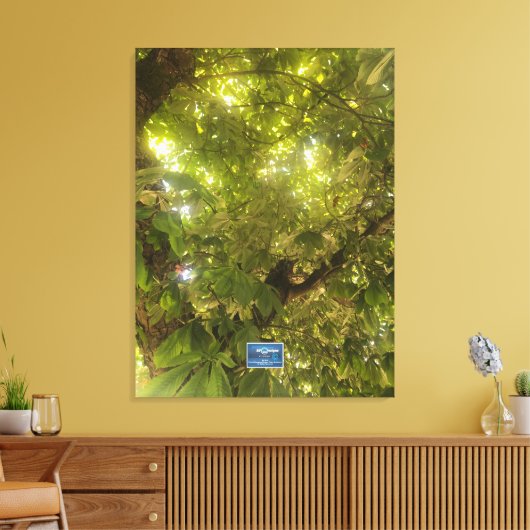Canvas (Sun Green Tree 1) RFPMDesigns ©️2021/24 (Insitu (Woonkamer))