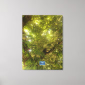 Canvas (Sun Green Tree 1) RFPMDesigns ©️2021/24 (Voorkant)