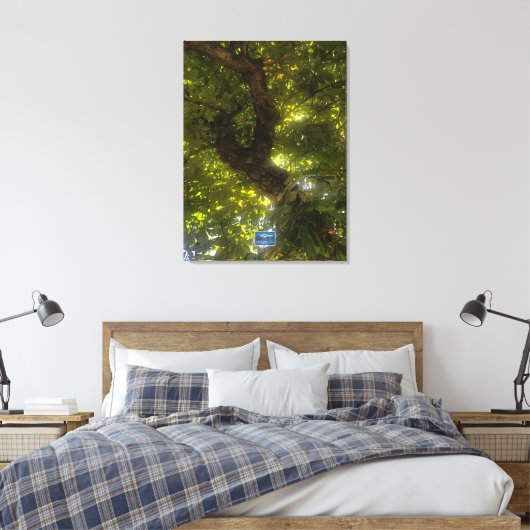 Canvas (Sun Green Tree 2) RFPMDesigns ©️2021/24 (Insitu (Slaapkamer))