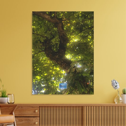 Canvas (Sun Green Tree 2) RFPMDesigns ©️2021/24 (Insitu (Woonkamer))