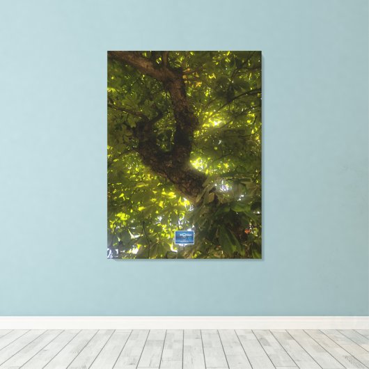 Canvas (Sun Green Tree 2) RFPMDesigns ©️2021/24 (Insitu (Houten vloer))